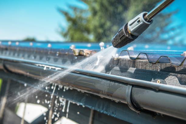Best Roof Pressure Washing  in Zimmerman, MN