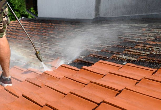 Best Concrete Pressure Washing  in Zimmerman, MN