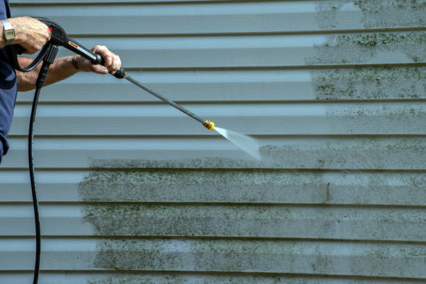 Best Deck Pressure Washing  in Zimmerman, MN