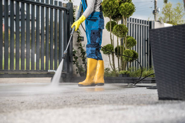 Best Local Pressure Washing Services  in Zimmerman, MN