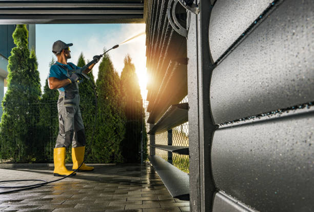 Best Deck Cleaning Services  in Zimmerman, MN